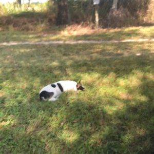 Meet your Posher, Jo